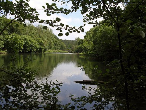 Estanque de la Hulpe