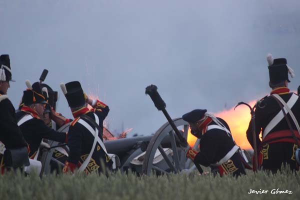 Batalla de Waterloo