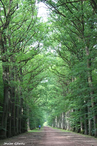 Jardines del castillo de Beloeil