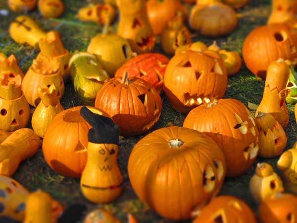 Halloween-calabazas