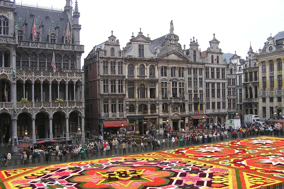 Alfombra de flores de Bruselas