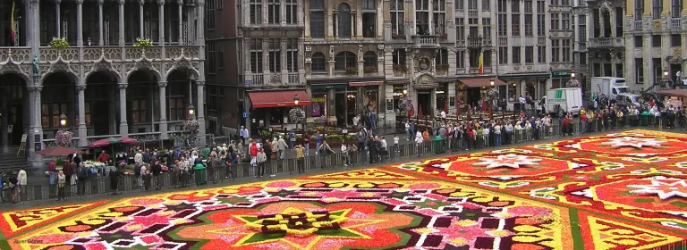 Alfombra de flores de Bruselas