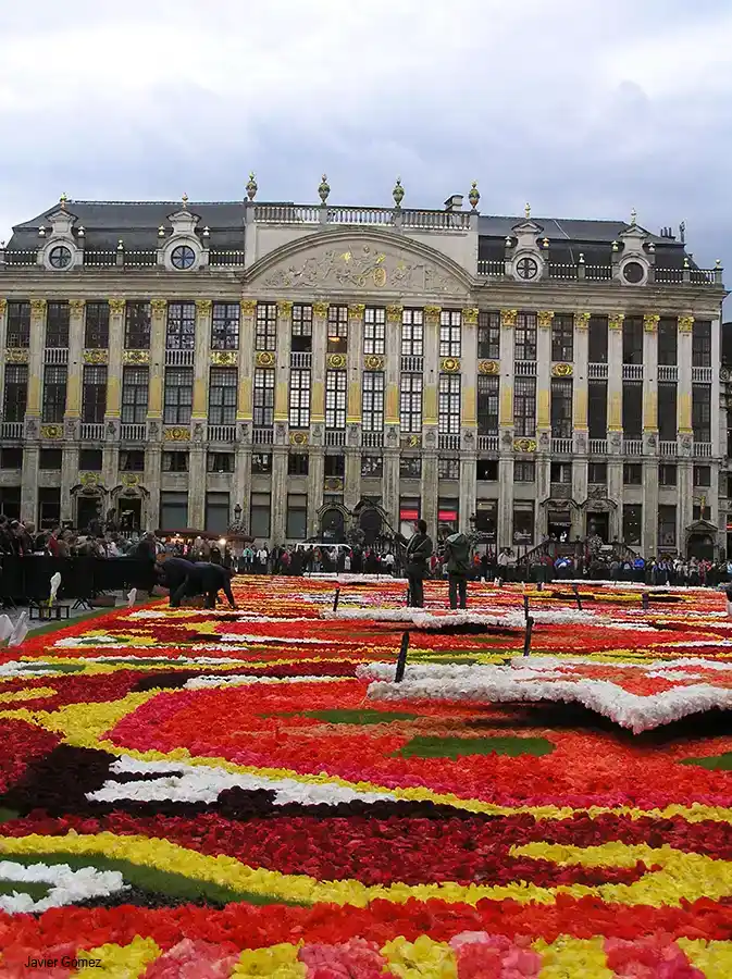 Alfombra de flores en Grand Place