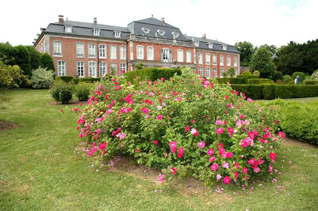 Rosas del Castillo de Hex